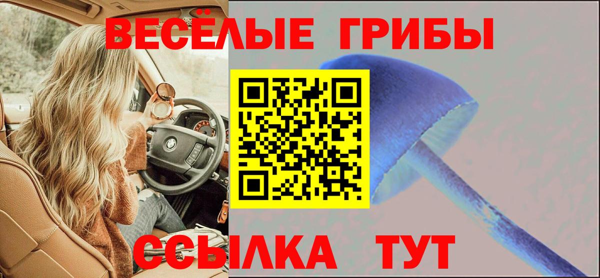Кузнецк  Псилоцибиновые грибы Psilocybine cubensis  Вход с VPN 
