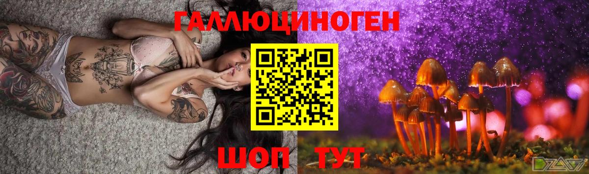 Псилоцибиновые грибы ЛСД Кузнецк